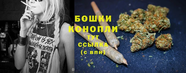СК Аркадак