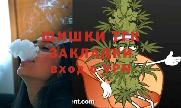 СК Аркадак
