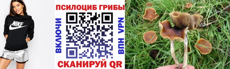 даркнет какой сайт  мега зеркало  Ирбит  Псилоцибиновые грибы мухоморы 